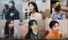 明星爆料歌单大全最新版,揭秘明星私藏音乐宝藏